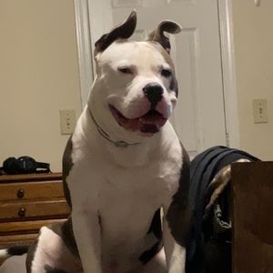 Meet your Posher, Toya